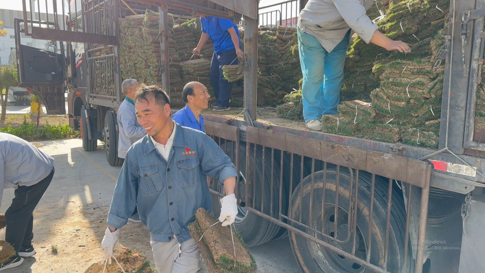 圖一.jpg 圖一.jpg